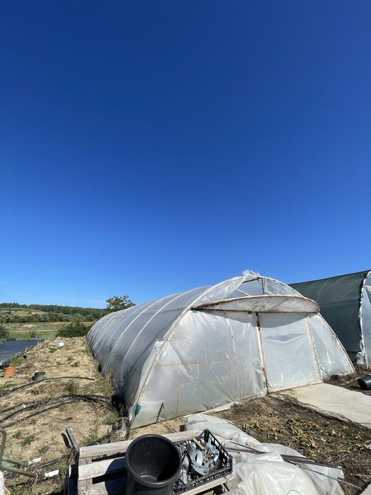 Solar pentru plante