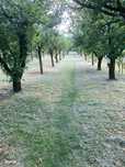 De vanzare: Teren extravilan  2,000 m²  , Dezmir ,Cluj