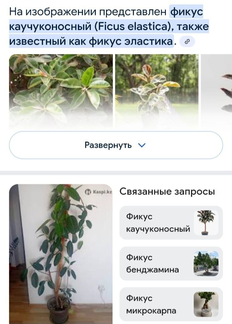 Отдам почти даром.