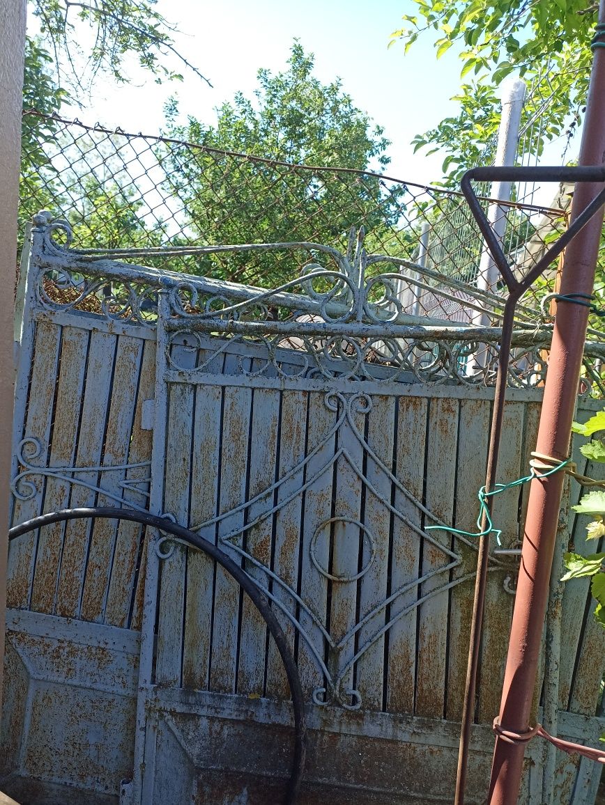 Porți metalice intrare