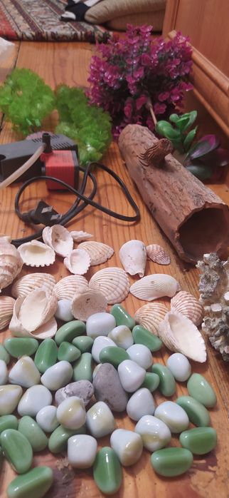 Для аквариума аксессуары.