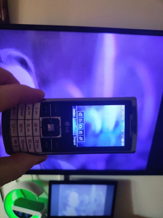 LG S310  ( DECODAT,lb.română)