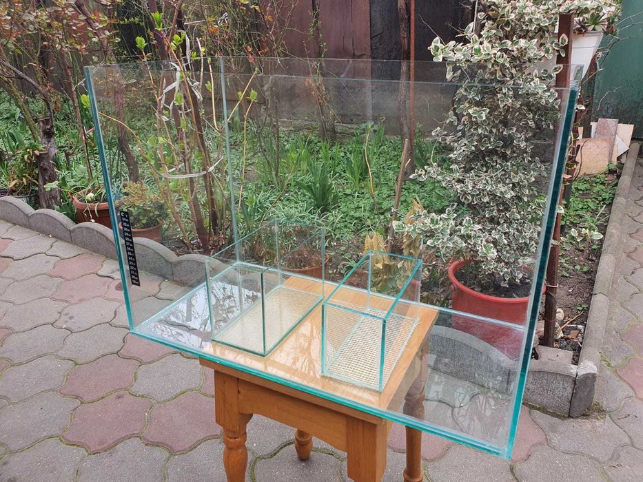 Acvariu mic si maternitate