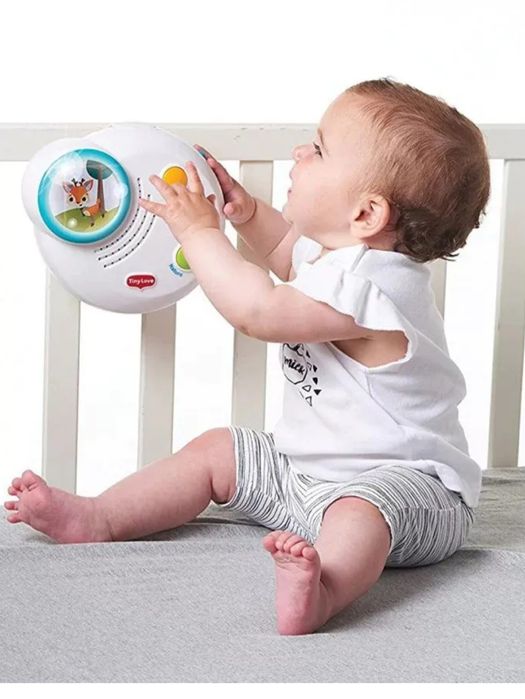 Въртележка за кошара