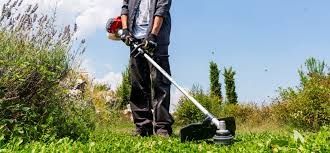 tund iarna , buruieni cu motocoasă , întreținere spații verzi