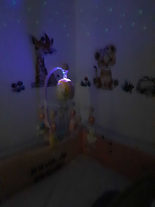 Музикална въртележка с дистанционно и прожектор