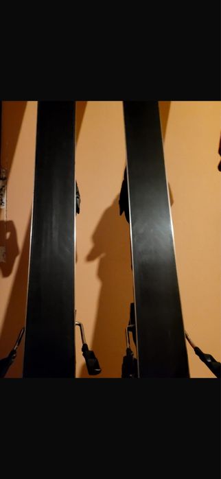 Vand schiuri volkl Racetiger Gs