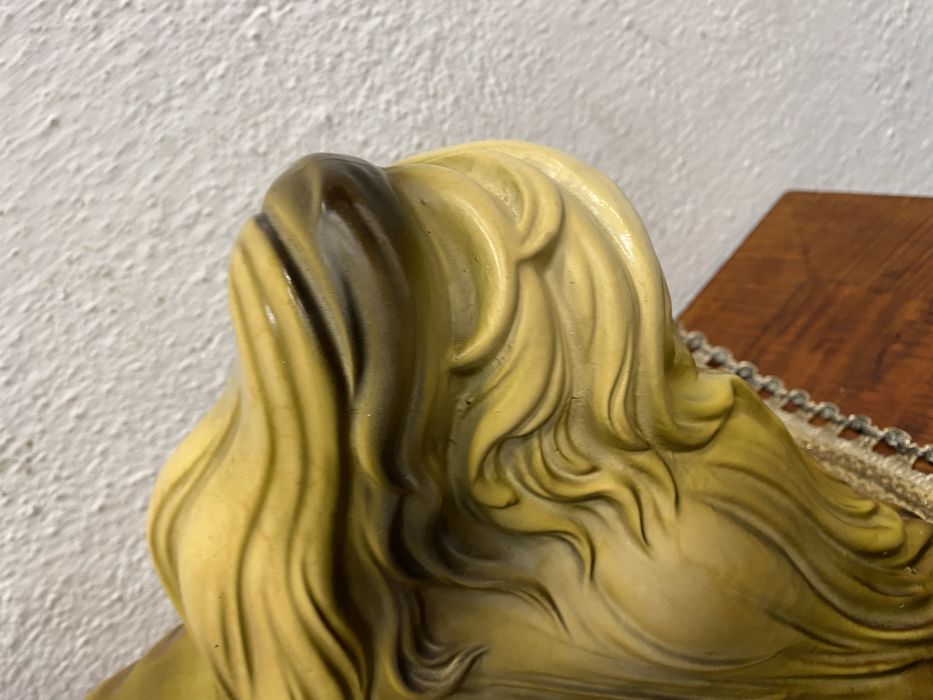 Немско порцеланово куче порода ли тцу