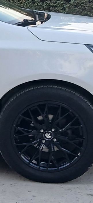 Obmen qora radnoy koltnika