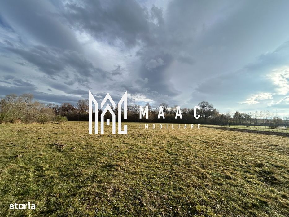 Teren cu potențial turistic I Cârțișoara I 1800 MP