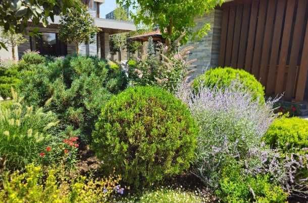 Посадка растений. Уход газонов.