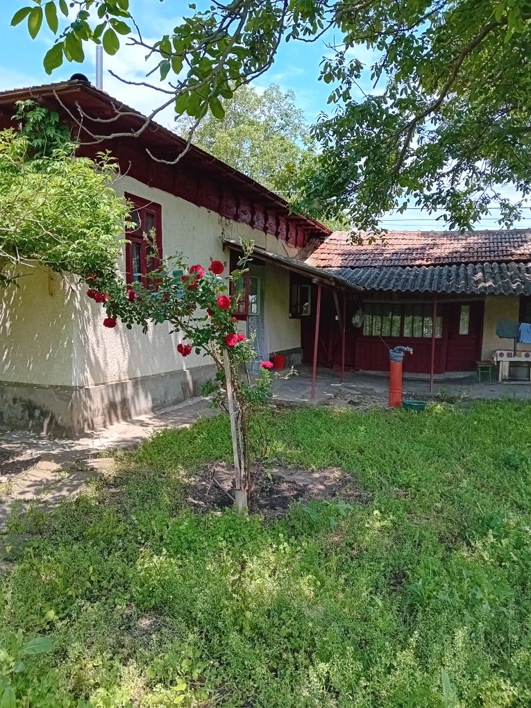 Casă + grădină 1068 mp.Amaru jud.Buzau.