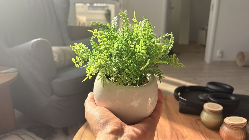 Planta Artificiala Mica – Ghiveci Alb Ceramic, Stil Modern “Pepco”
