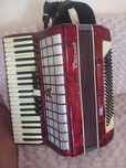 Acordeon  parrot