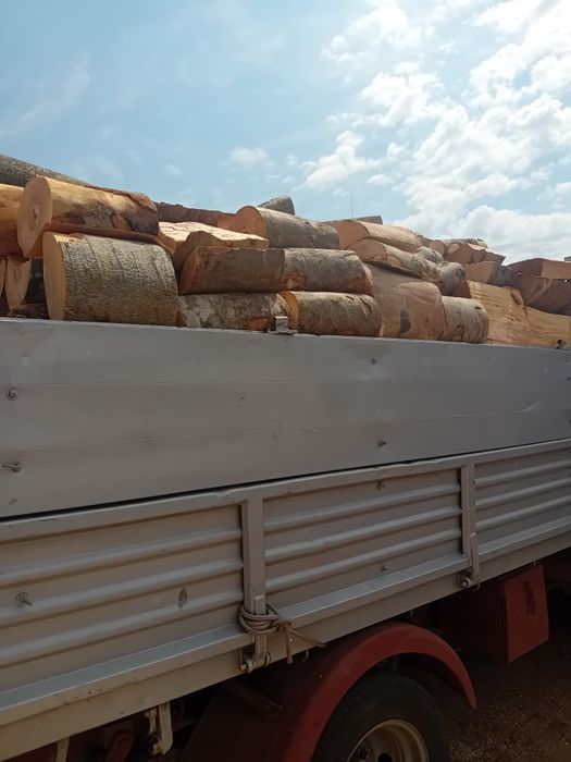 Vând lemne de foc esență fag Transport la domiciliu