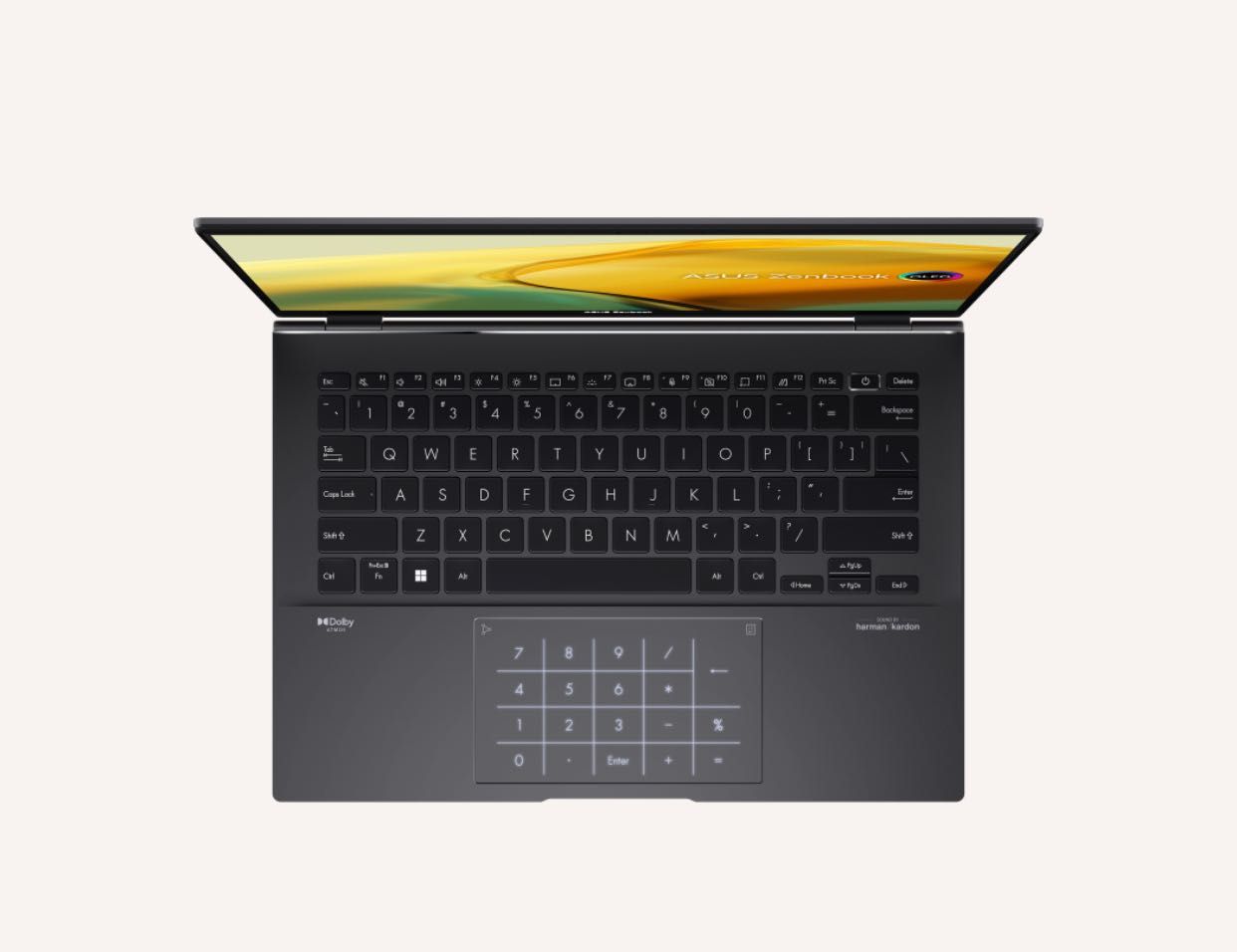 Ноутбук/планшет Asus Zenbook 14 OLED (UM3402); 1 Тб; сенсорный экран