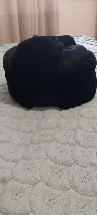 Продам мех шапка