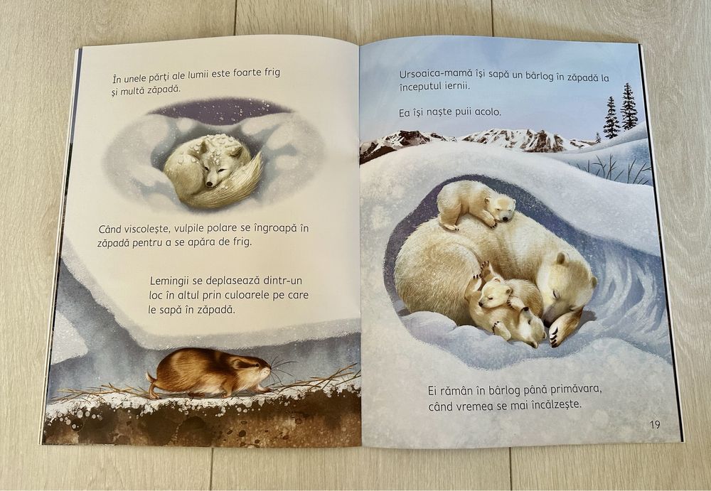 Carte despre natură pt copii “Ce se întâmplă sub pământ” Usborne Books