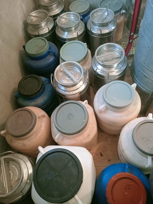 Miere polifloră direct de la producător