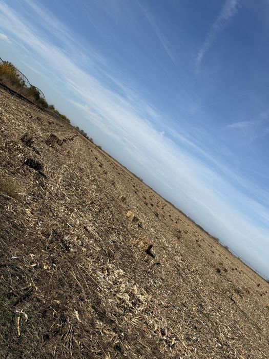 Baloti de pănuși (ciocan) cu multa frunză