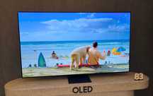 Телевизор OLED Samsung QE83S90D 83" (Новинка 2024) OLED