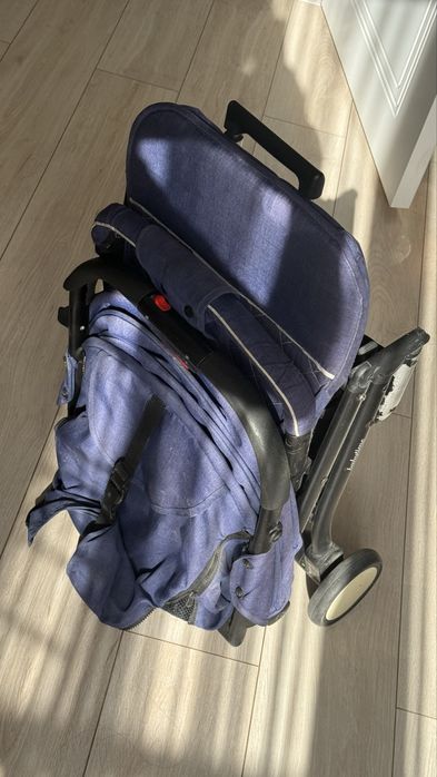 Колсяка прогулочная