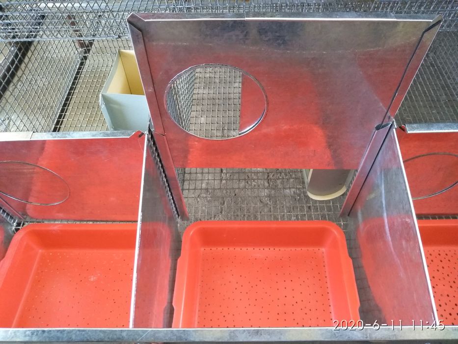 Клетка .Куёнлар  ва Жужа учун.