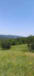 Teren mare in Vrancea, perfect pentru investitie sau relaxare