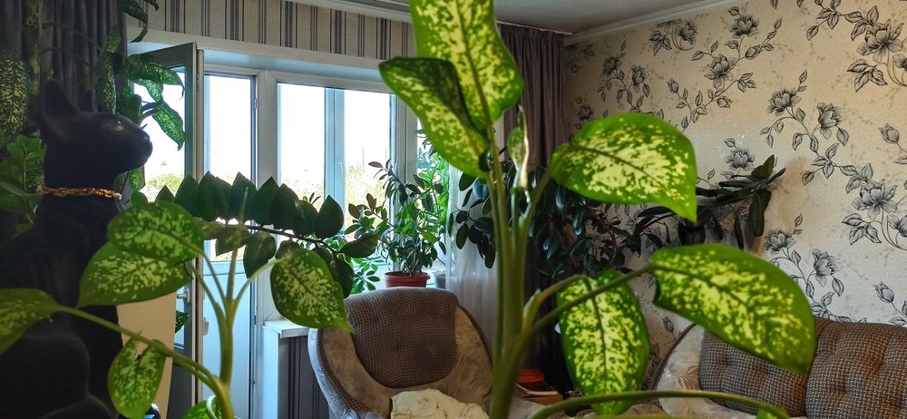 Караганда, 4-комнатная квартира, 63 м², 4/5 этаж, Орлова 107