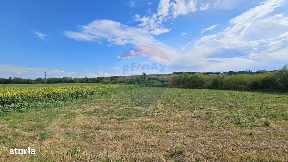 Teren extravilan 12000 mp- Pădureni-Șendriceni, Botoșani