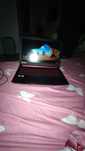 Laptop Gaming Acer Nitro 5
