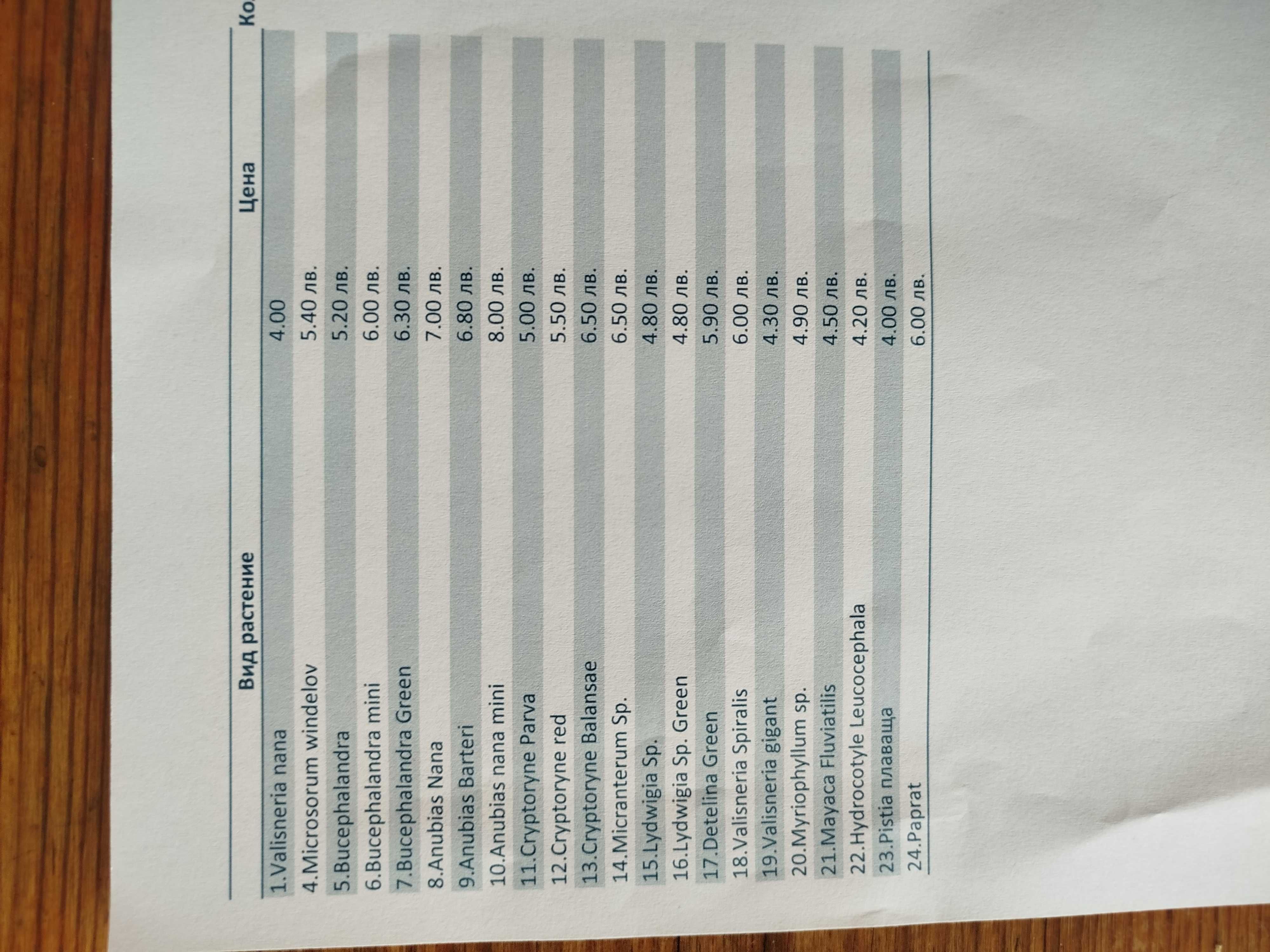 Аквариумни растения и скариди от производител