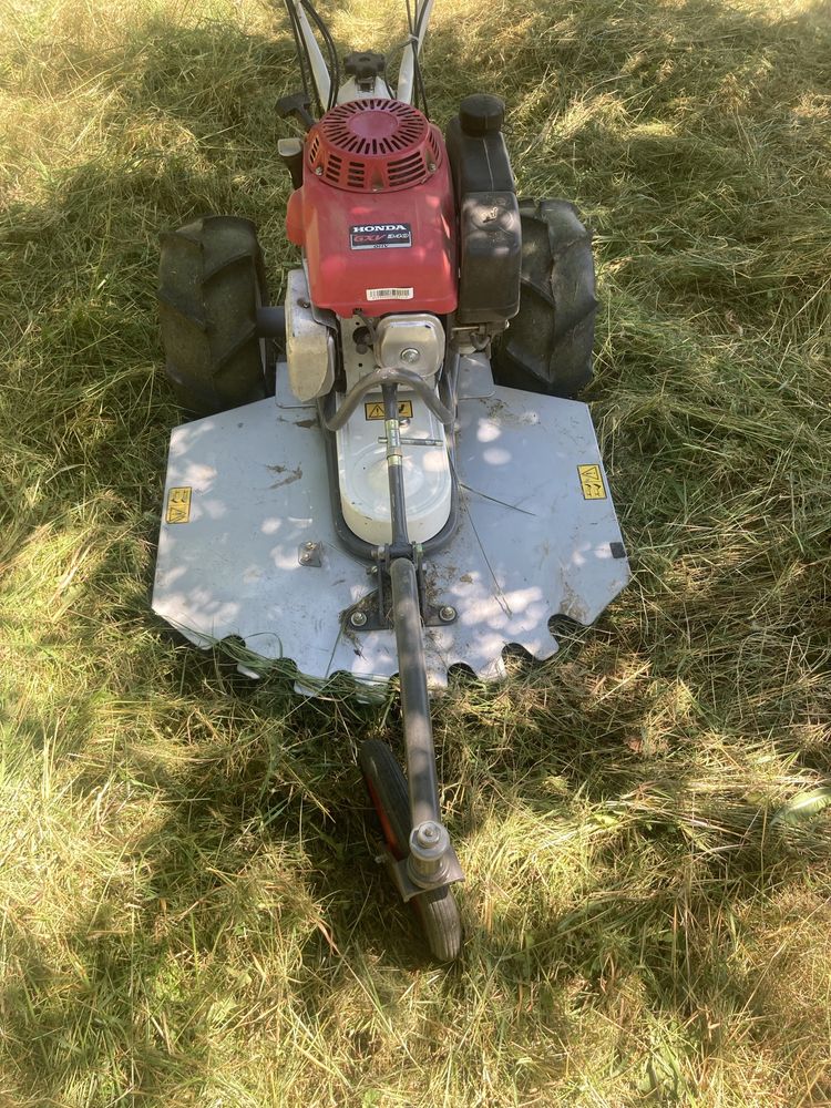 Vind cositoare tocatoare HONDA de iarba mare printre pomi