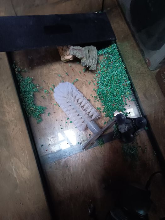 Acvariu pești sau broscute