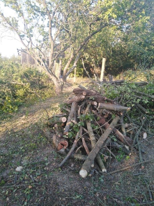ниски цени изрязване и извозване на буренясали места