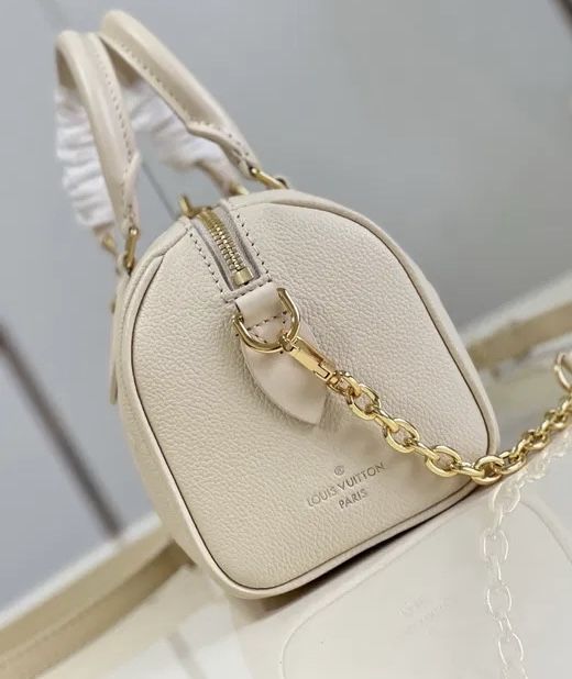 Louis Vuitton Speedy 20