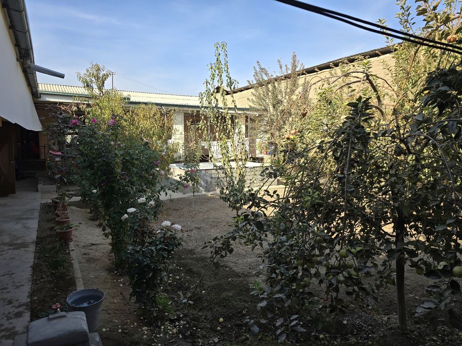 ШОШИЛИНЧ! АРЗОН! Янгийўл туманида янги қурилган уй сотилади