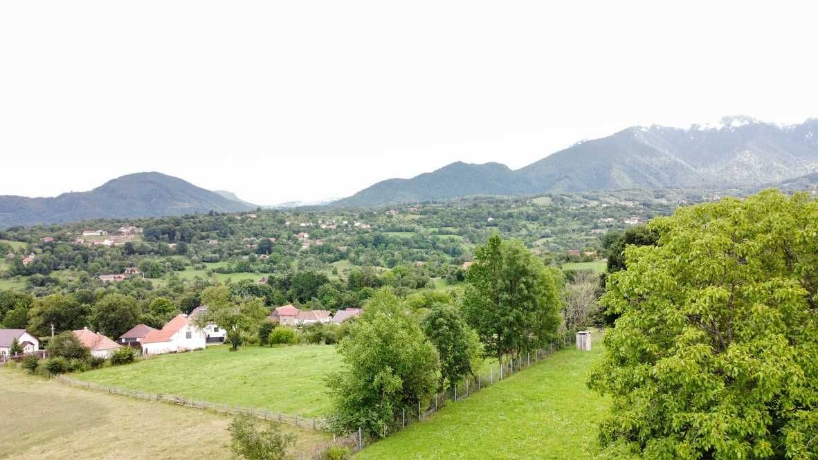 Teren deosebit în Sohodol – toate avantajele într-un singur loc