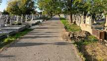 Loc de veci sat Cațelu-Ilfov