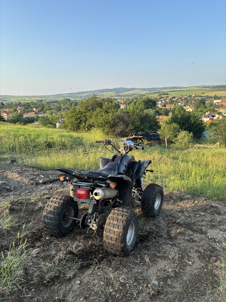 Atv 200cc Peidu lizard