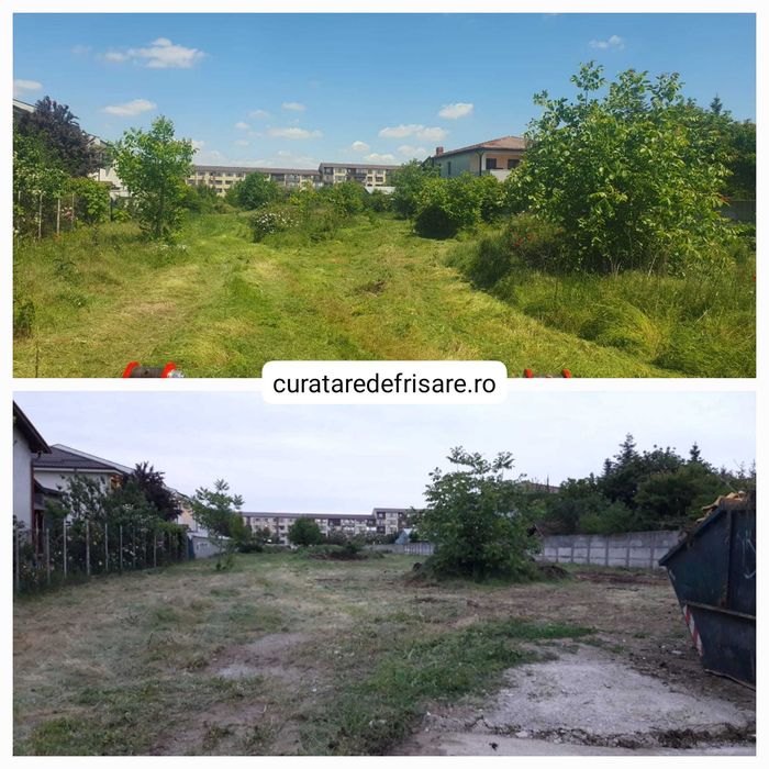 Curatare teren Vegetatie-Ambrozie / Tocare crengi Arbori Arbusti