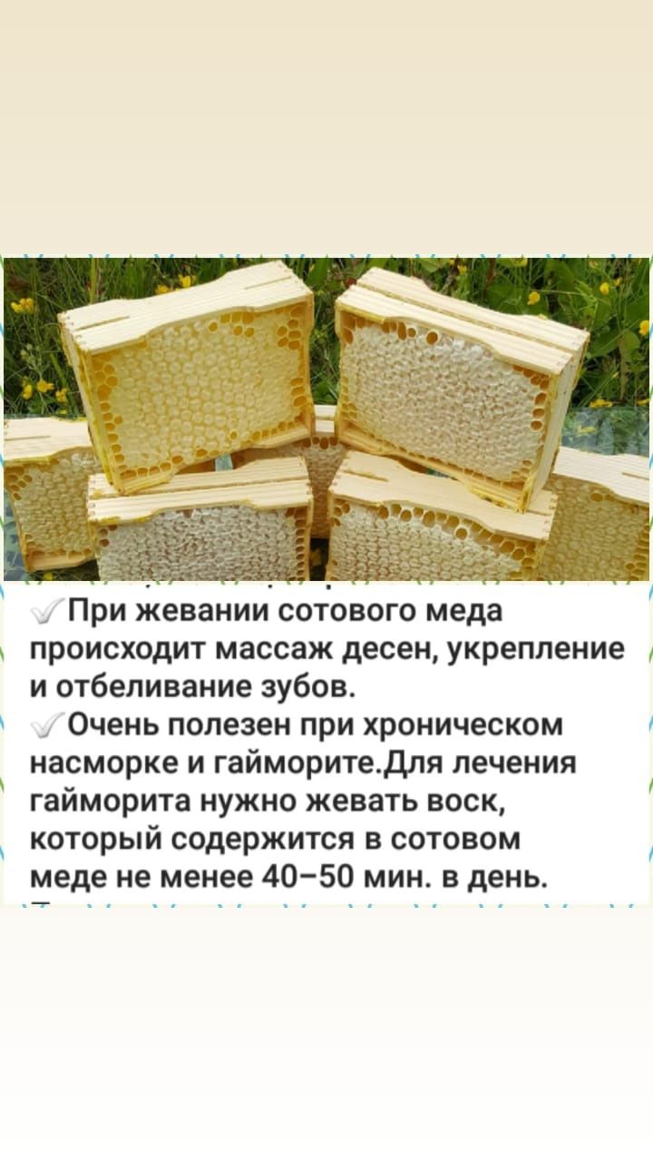 Сотовый мёд 2000тг