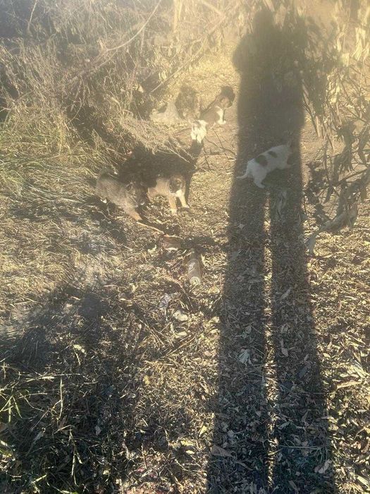 Кому нужен звонок в доме.