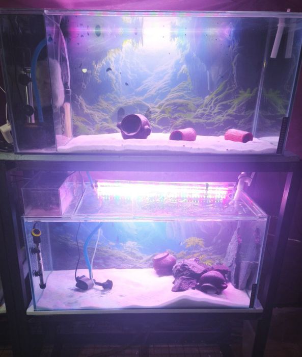Stellaj + 2 akvarium sotiladi