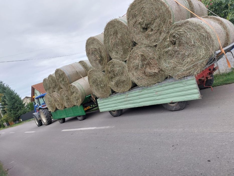 Vând baloti de lucerna, otava si fan pe plasa