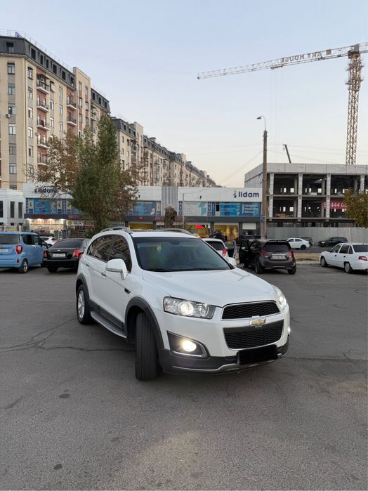 Captiva 2013 yil Idyal belijemshuk