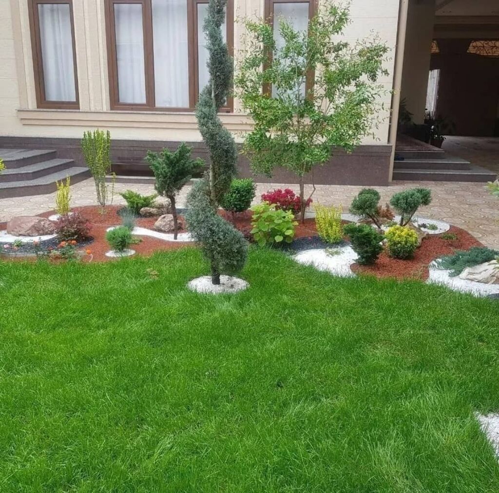 Gazon urugʻidan ekish xizmati