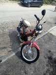 Dând first bike curier