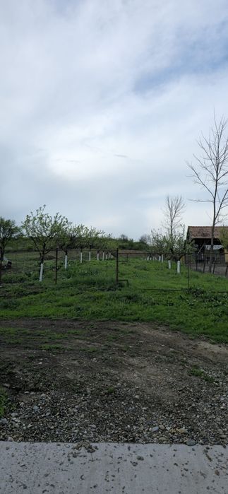 Teren intravilan de vânzare – 819 mp, Comuna Cătina, Cluj