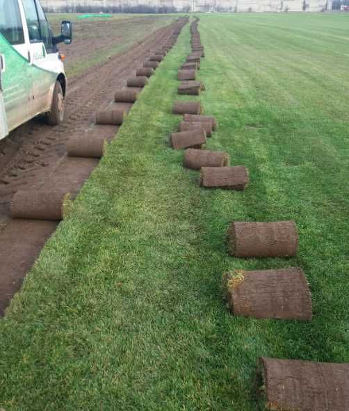 Gazon Rulou Sisteme de Irigati